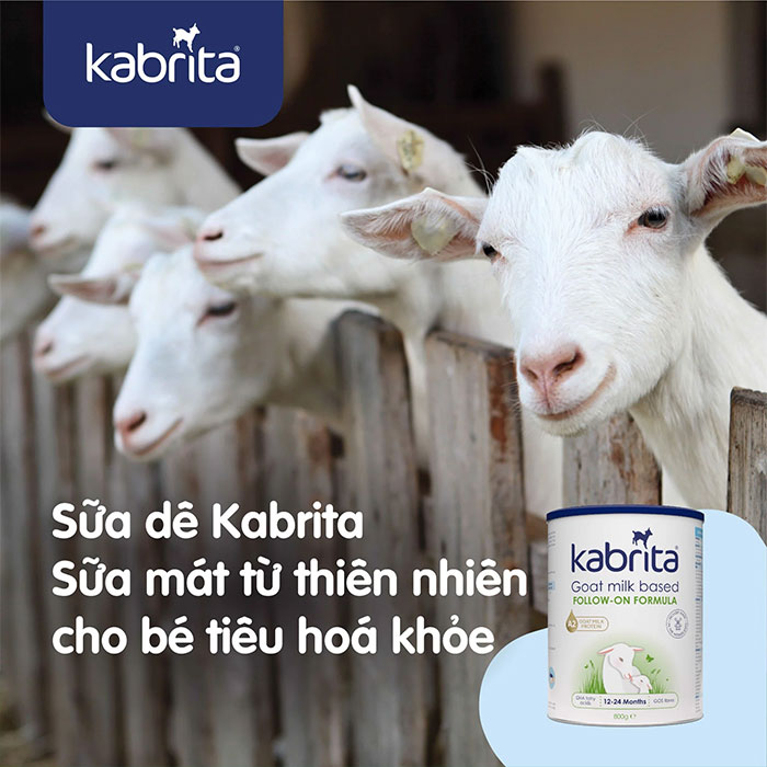 sua de kabrita 2